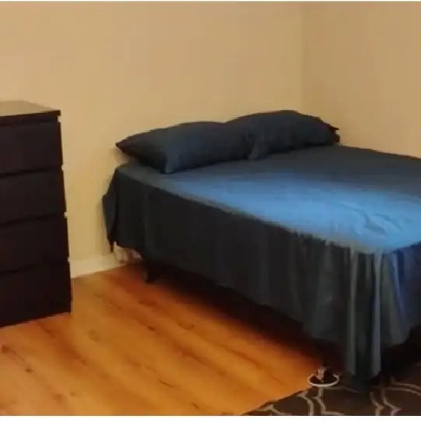 Immediate-Merivale/Hunt Club-Furnished-20m/Algonq-SeeVIDEO's