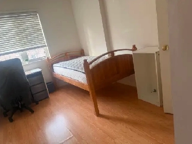 Room for rent at York University Village now