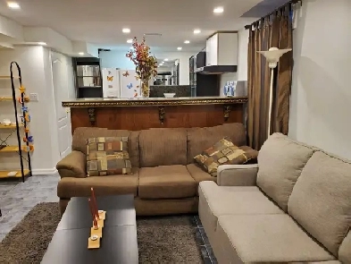 1 bedroom basement apt in Richmond hill for rent