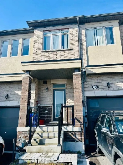 Spacious shared basement
