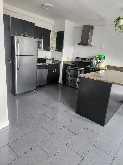 Apartment for rent