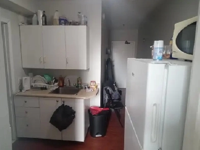 Bachelor Apartment in Downtown