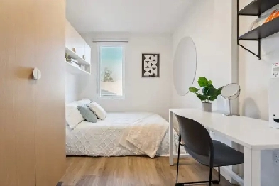 Bedroom for Lease in 5 Bedroom Apartment near Dalhousie