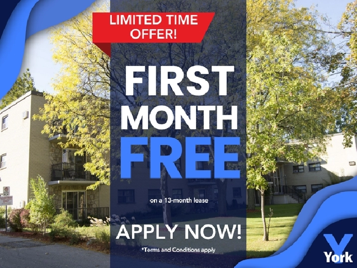 Affordable 1 Bedroom Apartment in Sarnia
