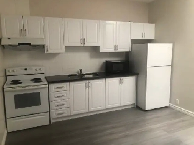 Like New 3 bedrooms apt for rent Spadina Ave & College St.