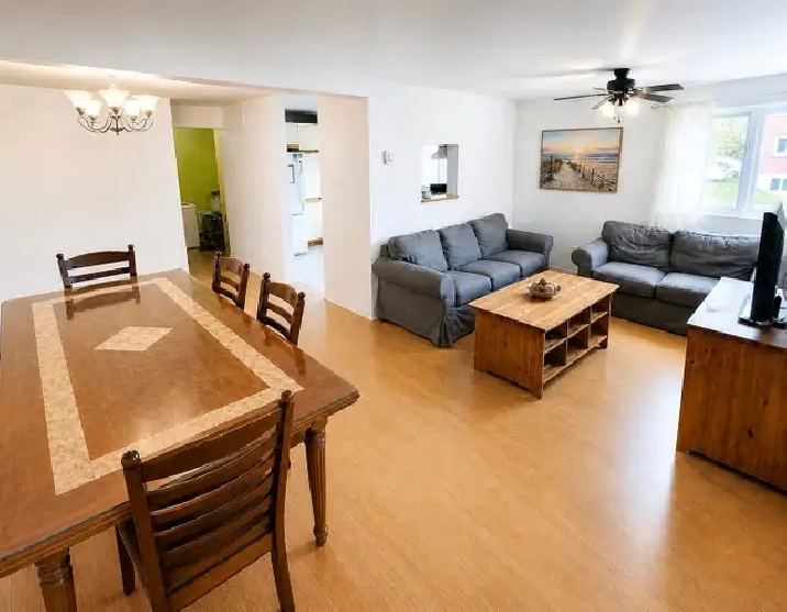Grand 5 1/2 1er niveau Triplex Nord