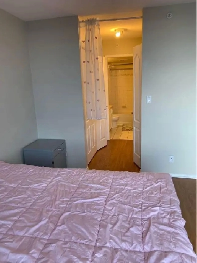 Spacious Fully Furnished Master Bedroom with Private Bathroom –