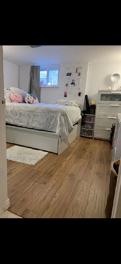 Bachelor Basement Apartment
