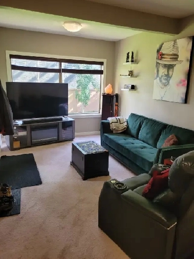 2 bedroom walkout basement suite available now