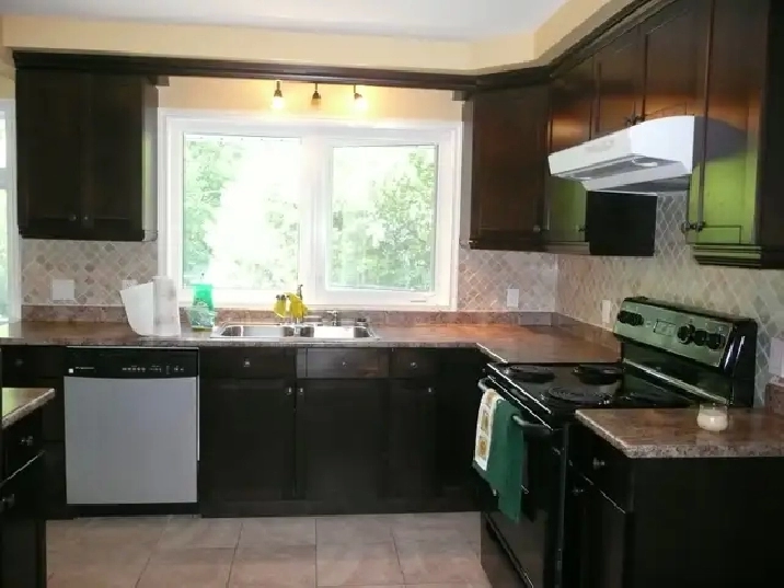 5 Bedroom house in Billings Bridge for students, $3750/month