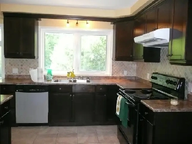 5 Bedroom house in Billings Bridge for students, $3750/month