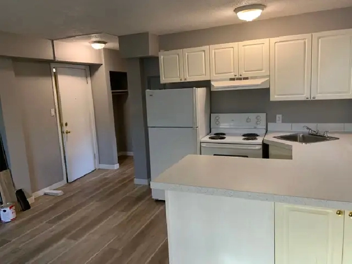 One B/R newly renovated unit in Beltline (downtown)