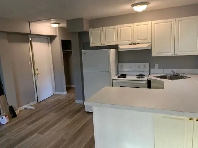 One B/R newly renovated unit in Beltline (downtown)
