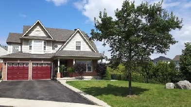 Newly Renovated 2 Bedroom Basement Apartment for Rent