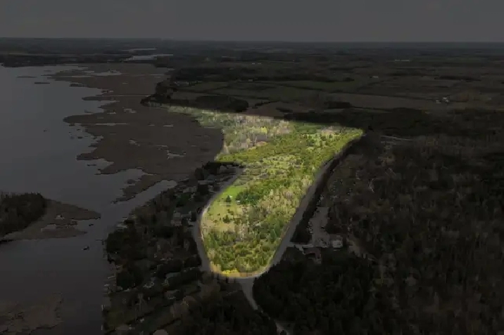 35 Acres, over 1000 ft of natural waterfront