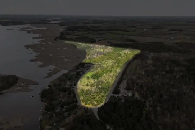 35 Acres, over 1000 ft of natural waterfront