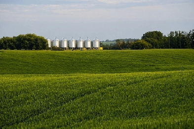 1,085 Acres For SaleTwo Hills Alberta