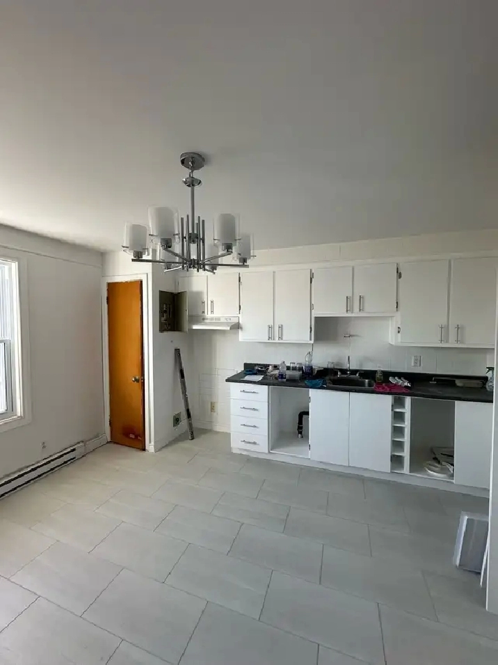 5 1/2 À LOUER MERCIER / HOCHELAGA-MAISONEUVE