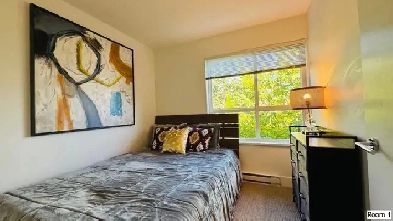 1 Bright Furnished Bdrm for Rent