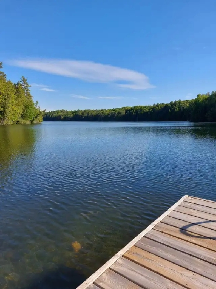3 Bdrm Cottage on No Motor Lake Haliburtion Highlands