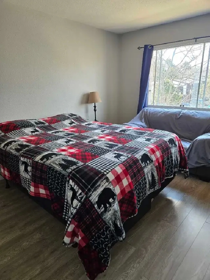 Room for Rent