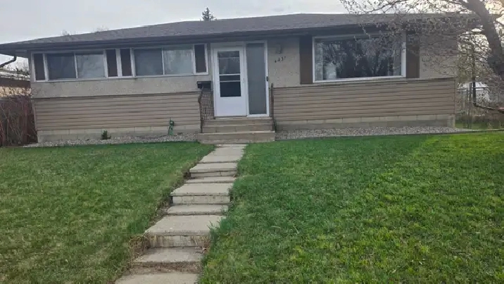 Looking for a roommate