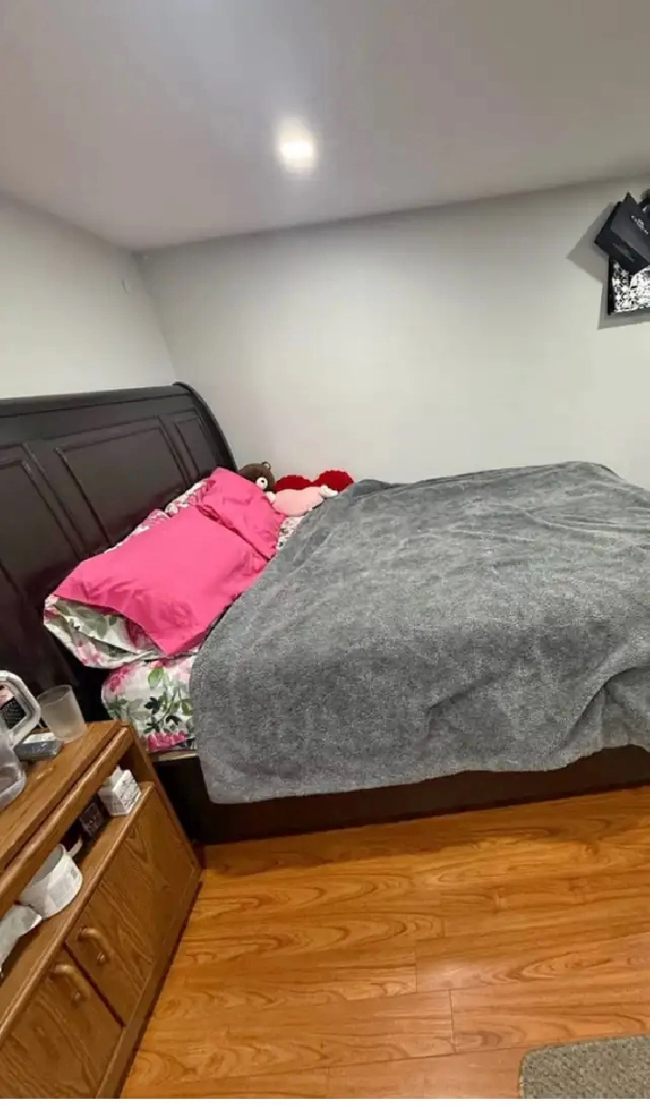 Large Basement Room For rent
