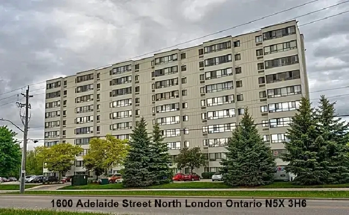 One Bedroom High Rise Condo Rental Unit Available July 15