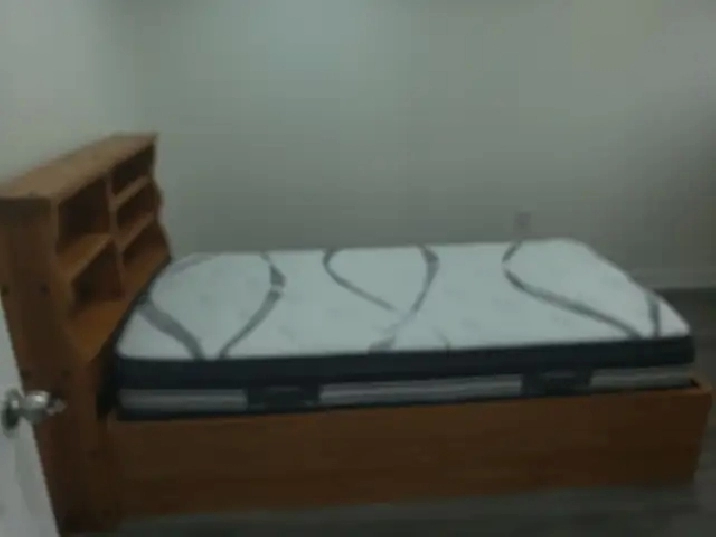 Room for rent near Humber collage