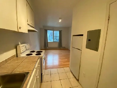 Bachelor Studio Apartment in Durand neighbourhood