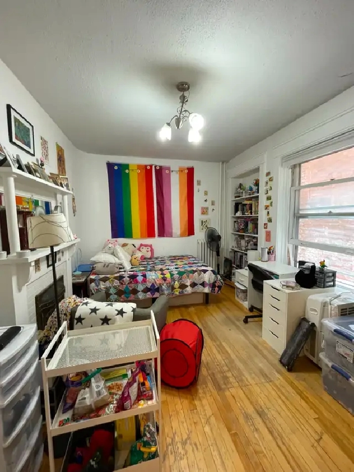Nice bachelor unit in Centretown - Available July 1st!