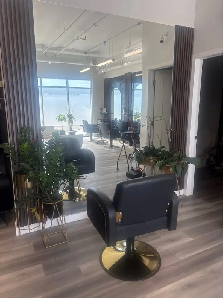 a established salon and spa in a great location for sale