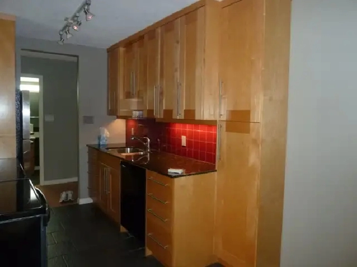 Downtown Highrise Apartment Condo