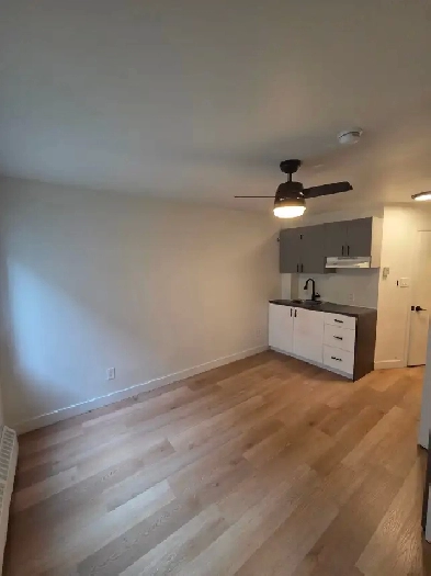 Newly Renovated Studio - Saint-Laurent