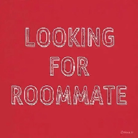Live-in Companion Needed -  Free Rent
