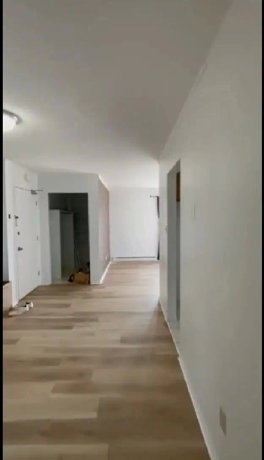 4 1/2 Grand 2BR 5mins to Ottawa Rénové Super à louer Gatineau