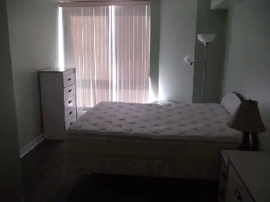 Bay & Bloor 1 bed   1den apartment for rent next to U of T