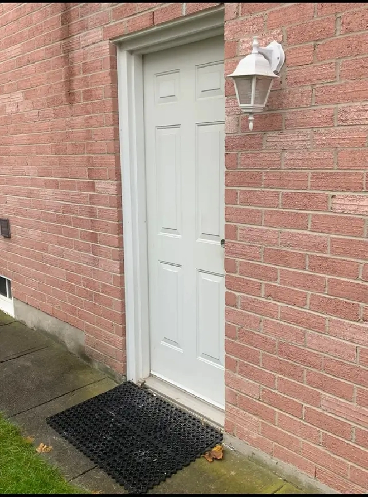 Basment for Rent