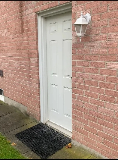 Basment for Rent