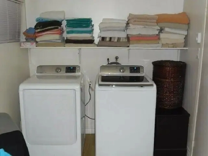 Photo 5