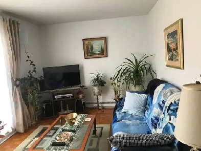 4.5, 2 bedrooms, with appliances at Blvd Room in Brossard
