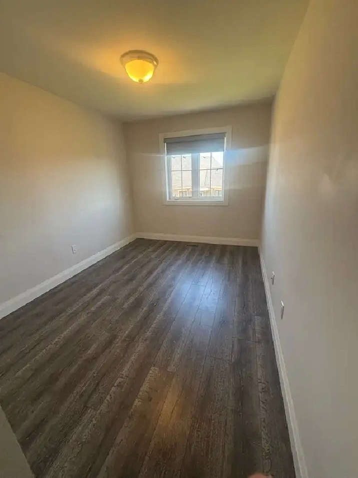 Blue Mountain - Room for rent