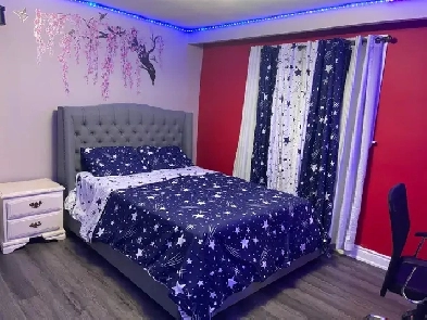 Fully furnished master bedroom for girls only, in Malton