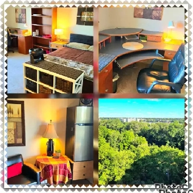 WESTERN/WINDERMERE (2)-EXECUTIVE SHARED INCLUSIVE FURNISHED MAY