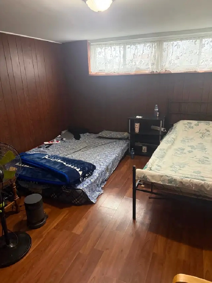Shared Rooms for Rent