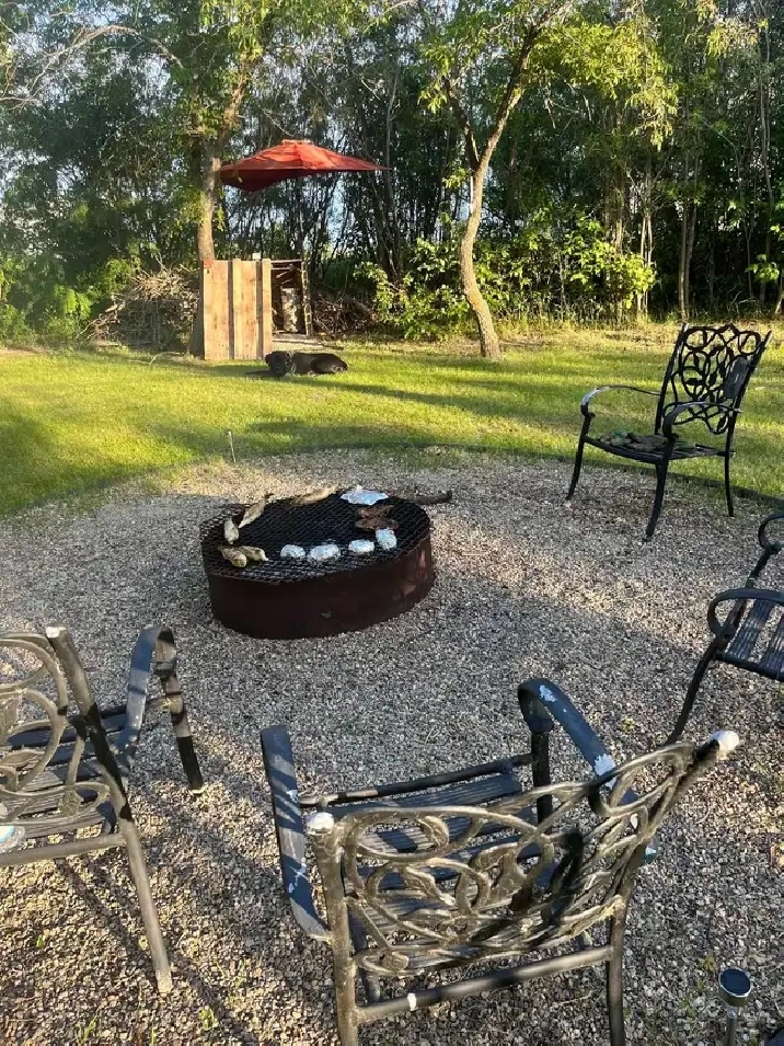 Roommate Wanted On  Acreage