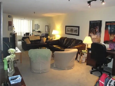 Spacious 1 Bedroom Condo Apartment