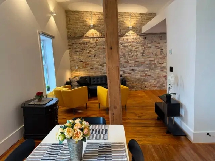 1 BR - Exposed Brick, High Ceilings, Fully Furnished - Cargill