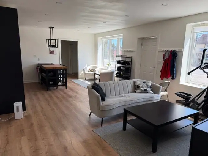 Newly Renovated, Fully Furnished 1-BR Apartment in Cargill