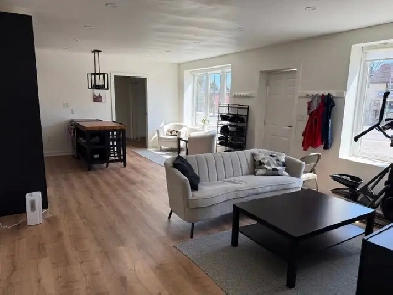 Newly Renovated, Fully Furnished 1-BR Apartment in Cargill
